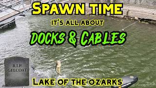 It's Spawnin' Season | Prepare To Scratch Your Boat | Lake of the Ozarks