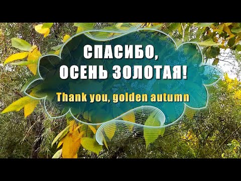 Тебе спасибо осень золотая.Любите этот день...сейчас! Красивые стихи про осень Релакс
