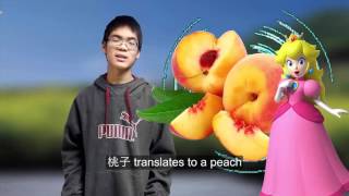 MANDARIN PARODY OF HELLO!