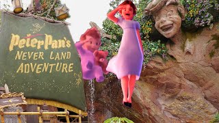 ディズニーランド　ピーターパン　ネバーランド　ピンバッチ 楽天市場】ピンバッジセット 額装付き ピーターパンの