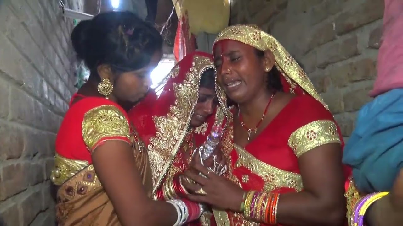  Indian village wedding video vlog 2026 | Aadiwashi Village Viwah Shadi Vlog | 