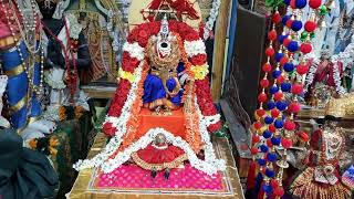 Srinivasar Brahmotsavam Day 8 Suryapraba Matsya Avatar Alangaram