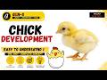 Chick Development | Embryology Made Easy #BiologyLecture #lifescience #csirnet #ncert #neet #biology