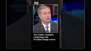How Lindsey Graham’s relationship with President Trump evolved