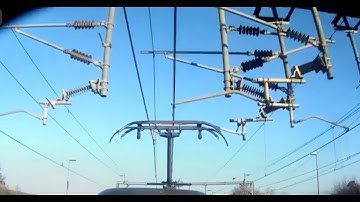 Transmission Dynamics - Pandas V®