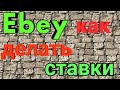 ✨Как делать ставки на EBEY.✨