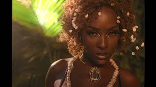 Amina - Brian Avie x HAKiMe & LUPiE (Official Video)