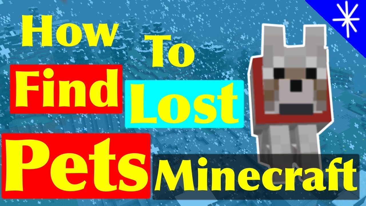 How To Find Lost Pets In Minecraft