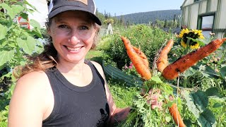 HUGE Harvesting and Preserving Day! | Zucchini Relish, Canned Slaw, Dill Pickles, Jam and Cherries