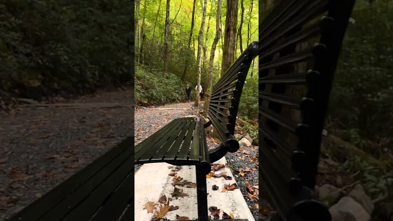 Mingo Falls Has Reopened with Improvements Including new steps, trail, and viewing platform