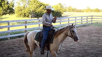 4. Bends and Counter Bends at the Trot - Jack Lieser