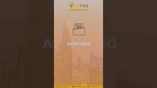 Unlock the Secrets of UAE Business Success with Bestax Guidance