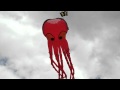 The Oversized Octopus flown by Yves Laforest at Wings on Strings Kite Festival