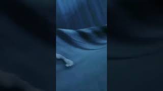 The Ant Bully Shrinking Scene