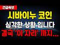 시바이누 코인 심각한 상황 입니다 결국 '이 자리' 까지