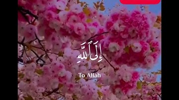 سورة المائدة الاية 74 افلا يتوبون الى الله بصوت عبدالرحمن مسعد 🤍🌸