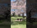 【HIKO散歩】函館/五稜郭公園 #shorts