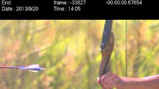 HP White Laboratory High Speed Bow and Arrow HP White Laboratory High Speed Bow and Arrow