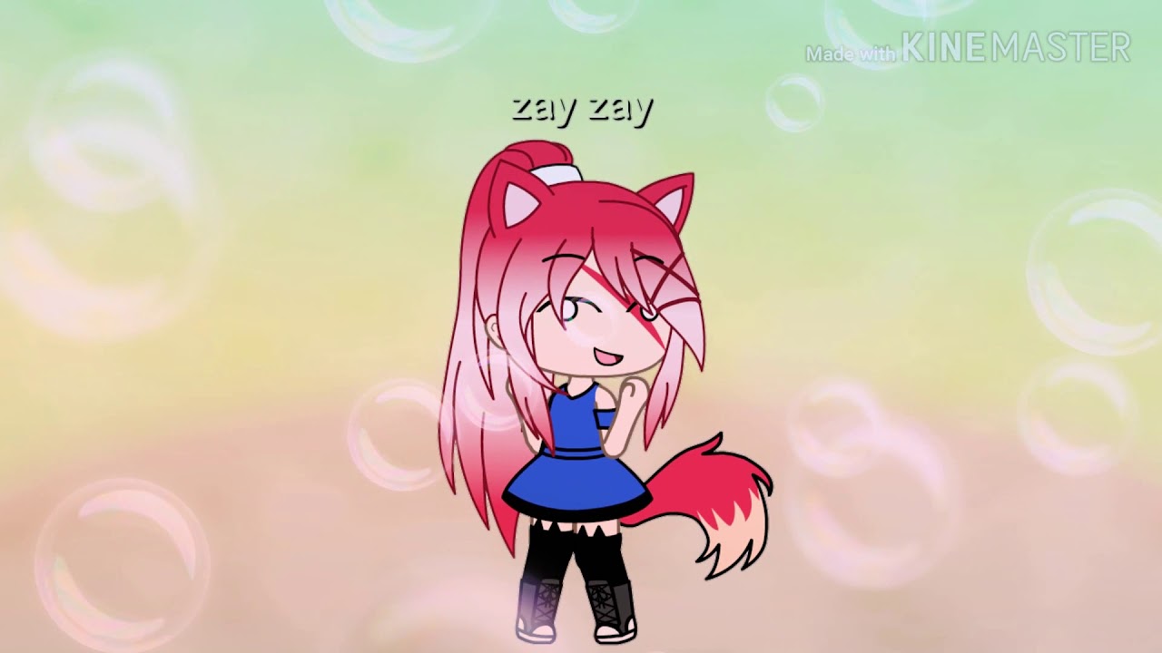 dance monkey bongo cat dance monkey bongo cat