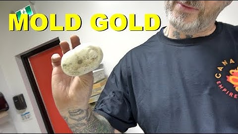 Ball Python Egg Cutting ! MOLD GOLD !!