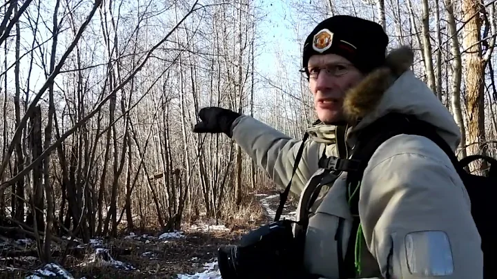 Wood Bison Trail Hike with Lots of Moose (Elk Island National Park, Alberta, Canada)