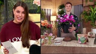 Roberta's 4-Piece Anne's Family Hardy Geranium Live Plants on QVC