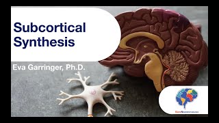 Subcortical Synthesis