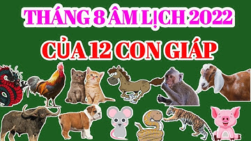 Tử Vi Tháng 8 Âm Lịch 2022 của 12 Con Giáp