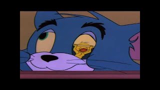 Tom and Jerry Episode 112   The Vanishing Duck Part 1