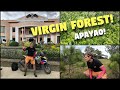 Biggest VIRGIN FOREST In The Philippines? | Home Of PHILIPPINE EAGLE