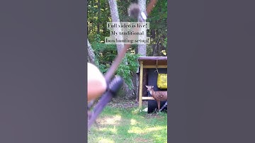 My traditional bowhunting setup for 2023 #hunting #traditionalarchery #archery #shorts