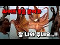 Walking Octopus Fishing When You Go There These Guys Are Always Waiting Octopus Octopu Walking Octopus Fishing When You Go There These Guys Are Always Waiting Octopus Octopu