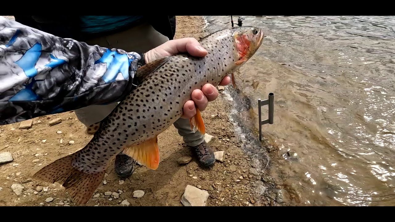 Scofield Reservoir 5 13 23 YouTube