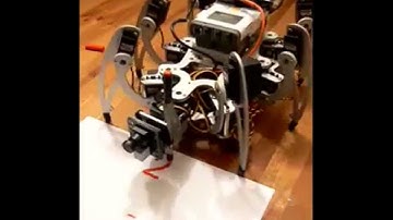 hexapod robot_read raster image and paint it