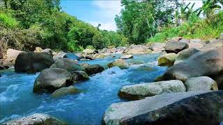 River Sounds โ Crystal Water Flow for Mindfulness
