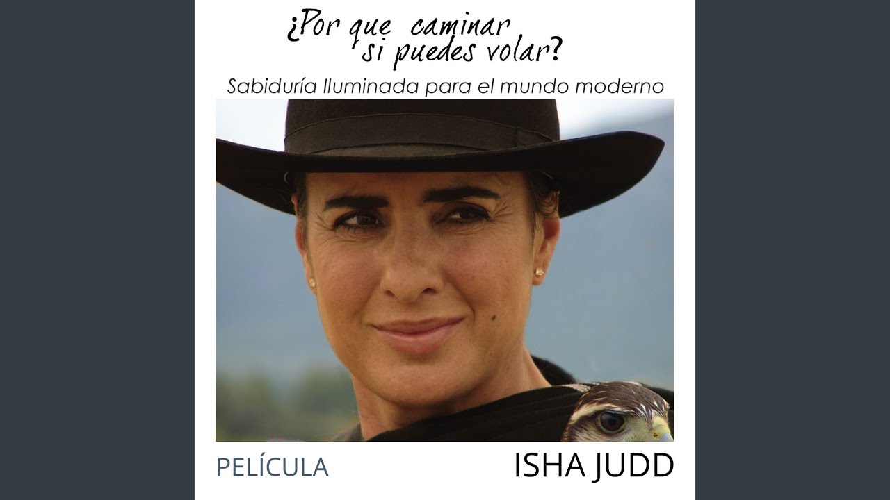 ¿Por Qué Caminar Si Puedes Volar?