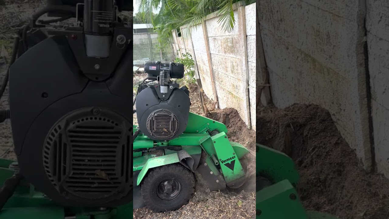 Grinding a ficus stump in a Jupiter backyard off Center Street ￼