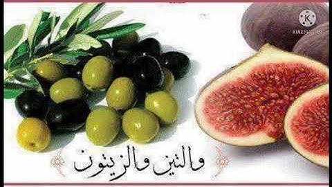 سورة التين كاملة بصوت القارئ حسام الدين عبادي❤