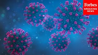 'Covid Is Not Done With Us Yet': Dem Senator Urges Caution On Coronavirus