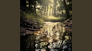 Melodic River Sound Harmony