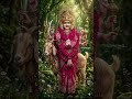 🔱🐪🐐👑🚩 Maa 🔱 jagat 🔱 janni 🔱 Meldi 🔱 sada 🔱 Sahay 🔱🌹🌺🌹🌺🌹🌺🌹🪷🙏👣