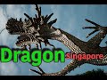 The singapore dragon   street photography