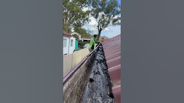 #guttercleaning #gutters #gutter #satisfying #cleaning #service #roof #washing #garden #wash #lawn