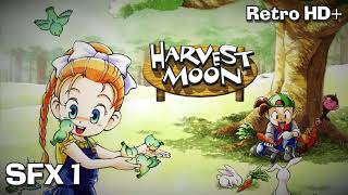 Harvest Moon 64: SFX 1 HD screenshot 5