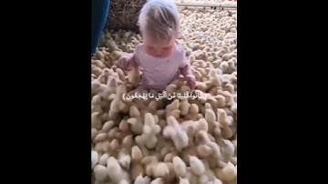 قرآن الكريم بصوت انس الشهاب سورة الذاريات