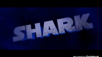 My new intro Shark