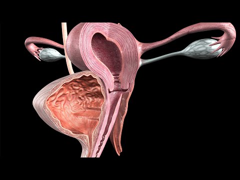 Video: What Is The Luteal Phase