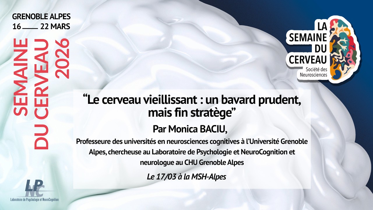 Le cerveau vieillissant : un bavard prudent, mais fin stratège