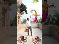 Flying crying babies Catching vs danching gorilla,, cute bhabhi,, parrot, good day funnyvideo😄😄😄