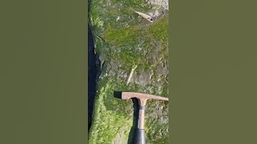 Belemnite Squid Fossils eroding on huge algae covered Rock! 🌊🪨🦑 #fossilhunting #fossils #shorts #sea